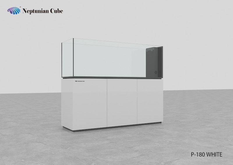Neptunian Cube Aquarium "P180" Weiß Palettenversand Neptunian Cube Aquarium "P180" Weiß Palettenversand