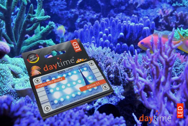 Daytime pendix® Marine Komplett-Sets pendix100.7 Marine 