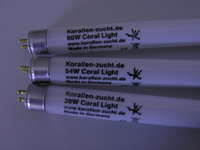 Korallenzucht 24 Watt Coral Light New Generation 14000 K Korallenzucht 24 Watt Coral Light New Generation 14000 K