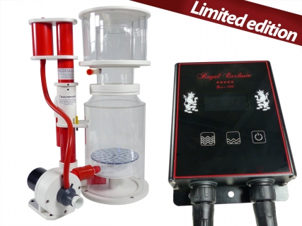 Bubble King® DeLuxe 200 LIGHT intern + BK DC 24V