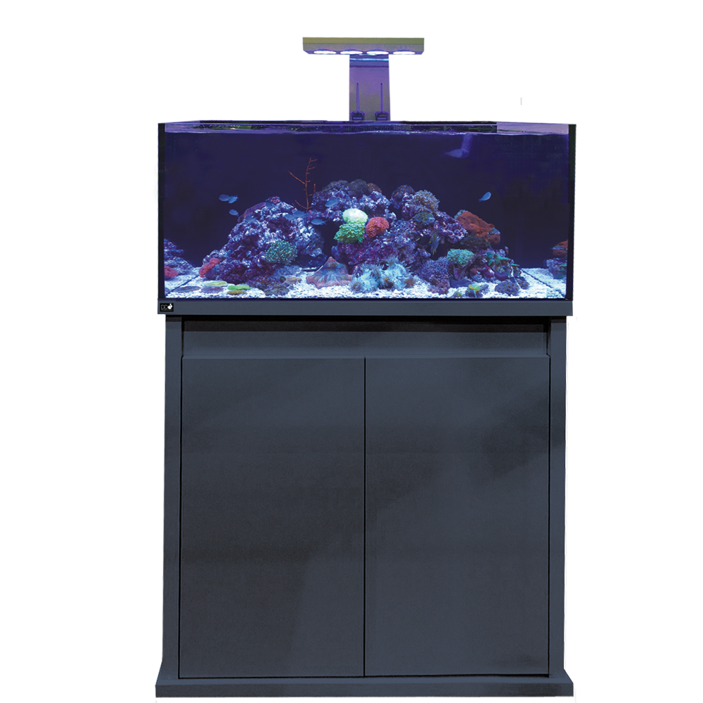 D-D Reef-Pro 900 Anthracite - Aquariumsystem 