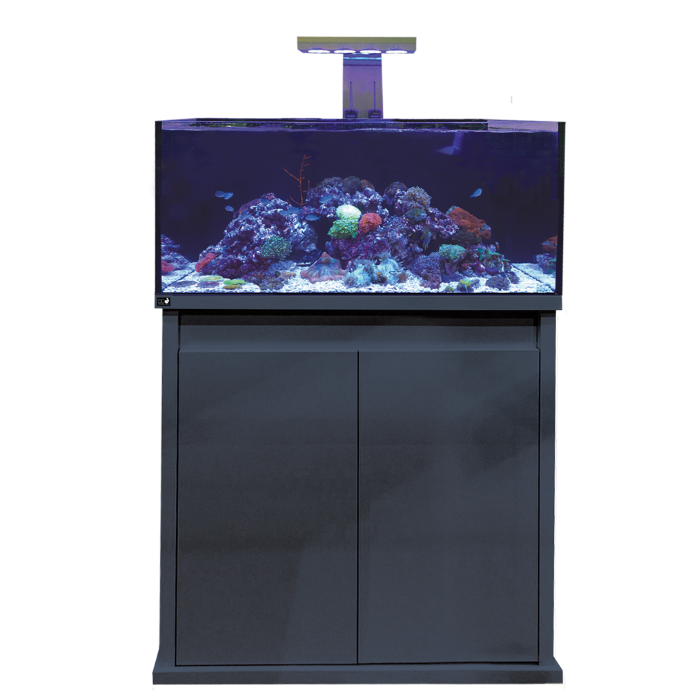 900-latest-anthra_1480 D-D Reef-Pro 900 Anthracite - Aquariumsystem