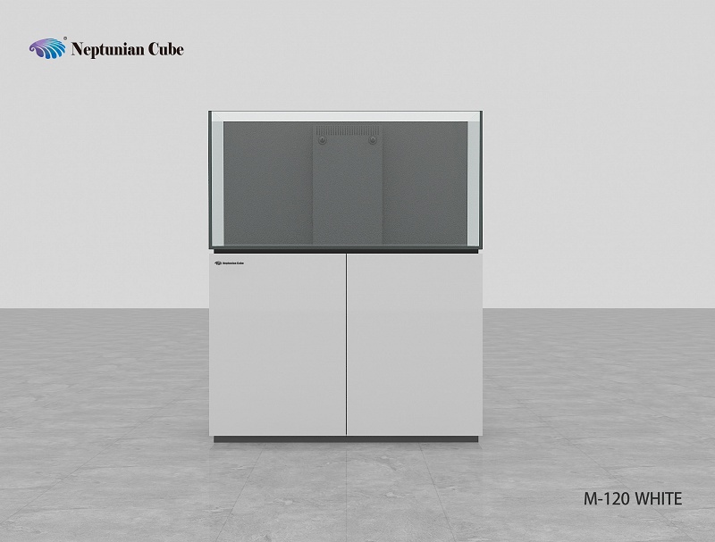 Neptunian Cube Aquarium Serie M120 Weiß Palettenversand Neptunian Cube Aquarium Serie M120 Weiß Palettenversand