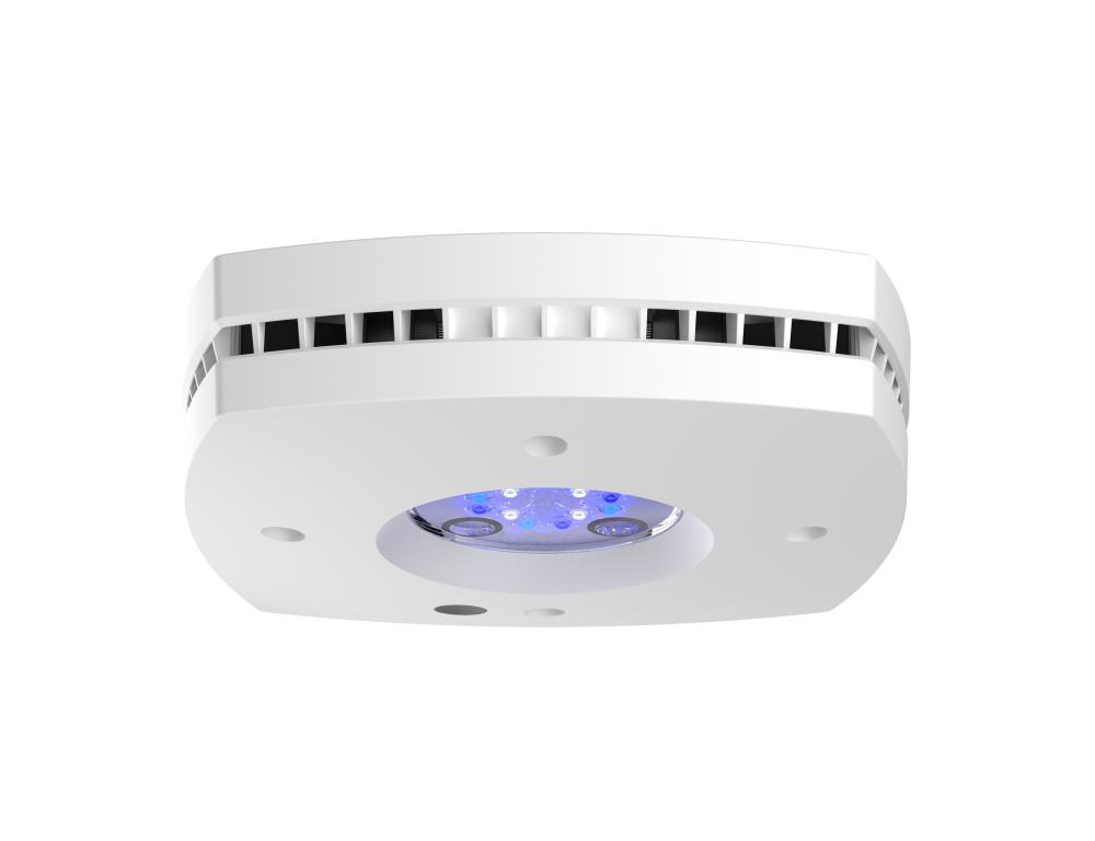 AI Prime SOL weiß AI Prime SOL weiß