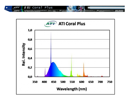 ATI - Coral Plus 24 Watt (1500016)