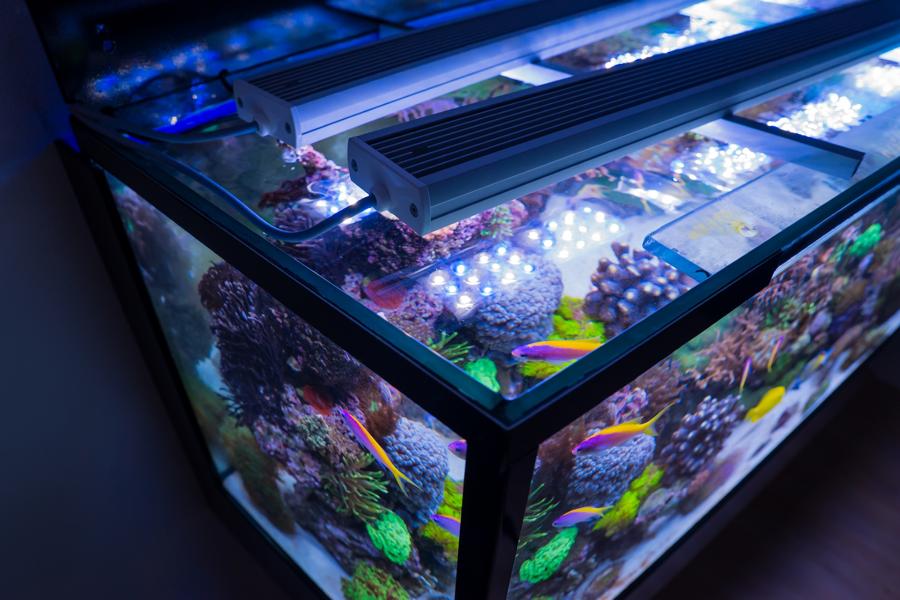 AquaLEDs aquaBAR150 HC+ Reef Blue High Color