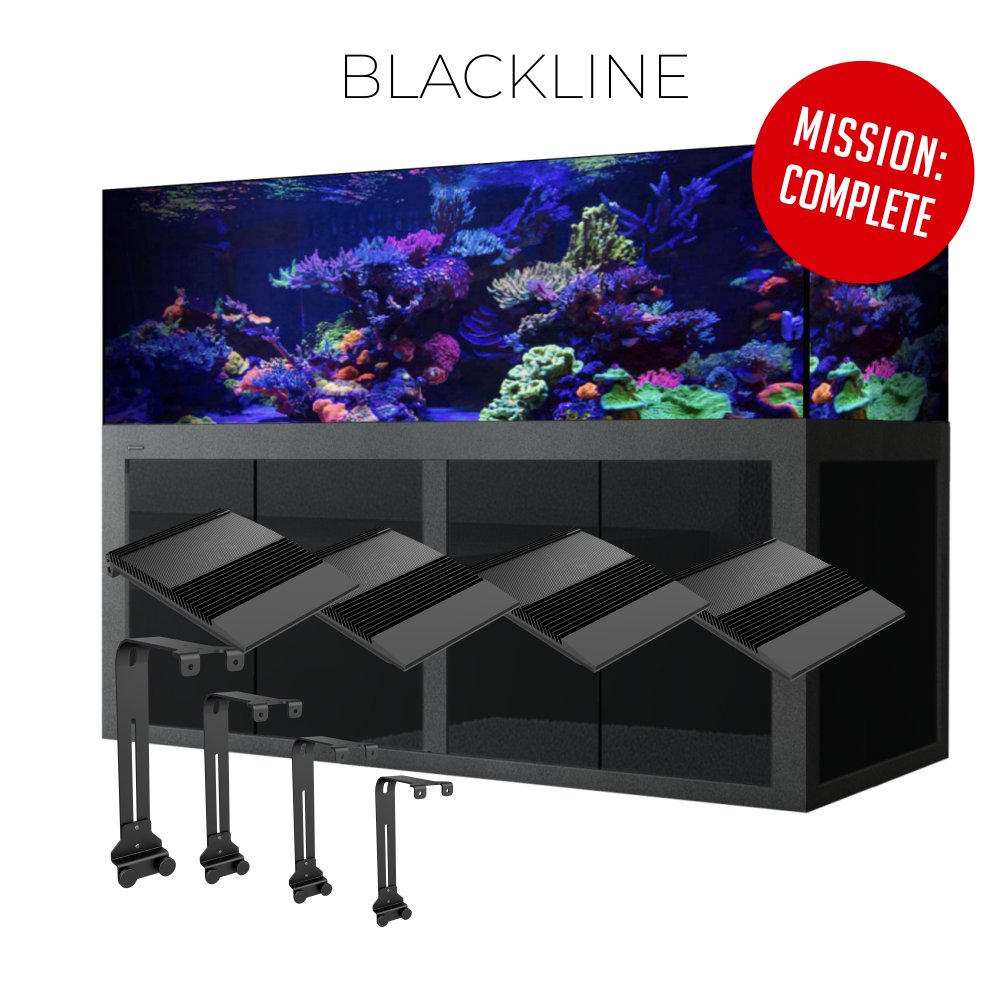Giesemann LINEA 200 cm / 770 Liter Meerwasser Aquarium Complete Giesemann LINEA 200 cm / 770 Liter Meerwasser Aquarium Complete