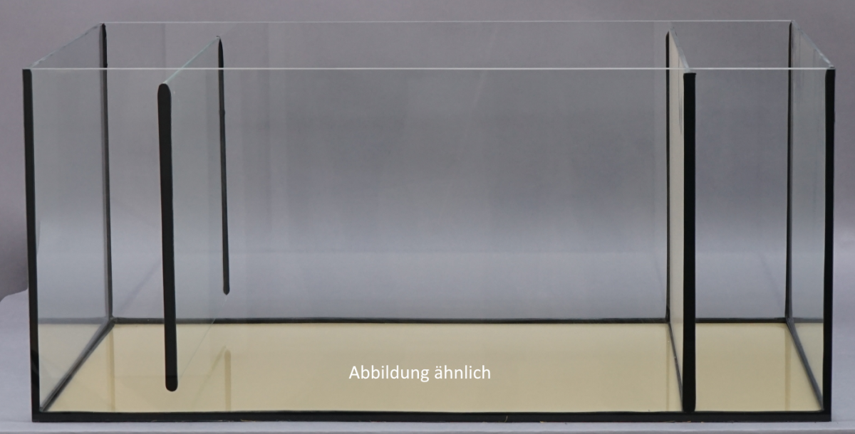Glas-Filterbecken 100 x 50 x 40 cm