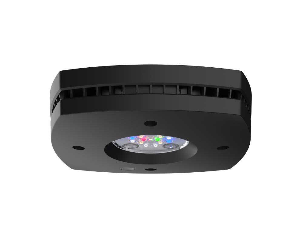 AI Prime 16HD Freshwater schwarz AI Prime 16HD Freshwater schwarz