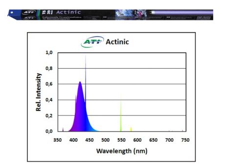 ATI - Actinic 24 Watt (1500008)