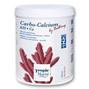 CARBO-CALCIUM Pulver 700 g (26252)