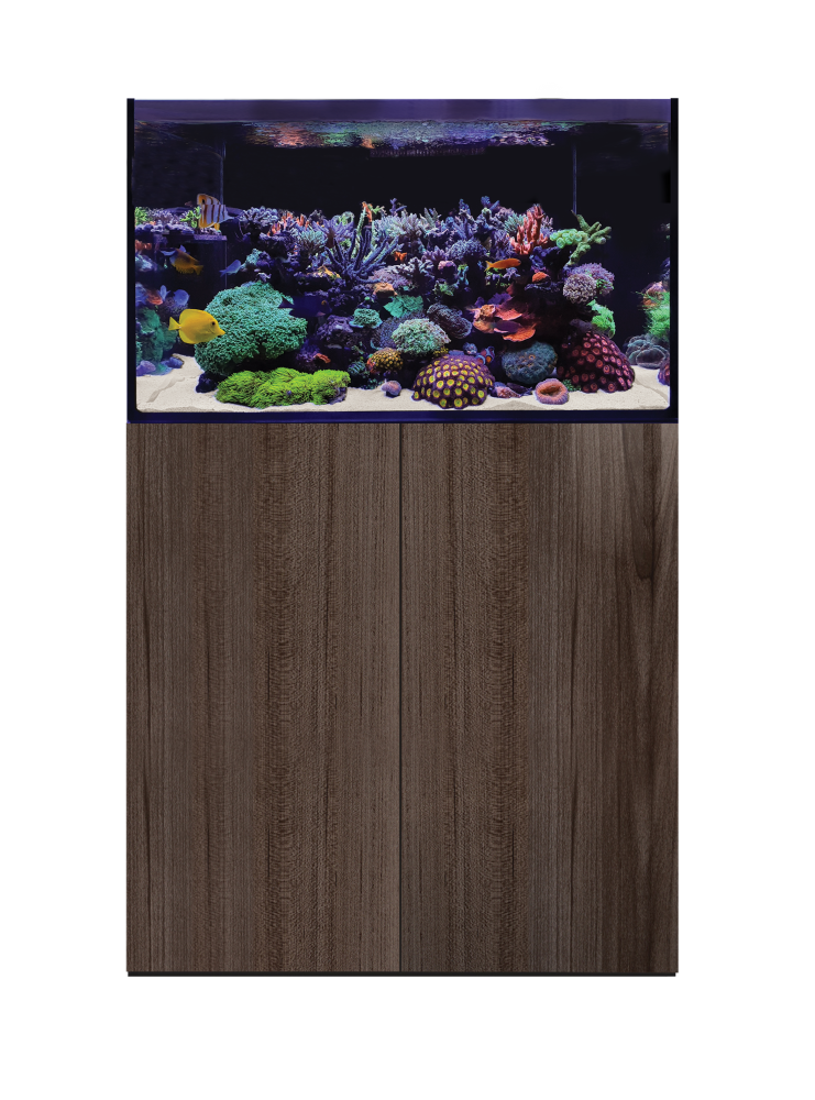 D-D Aqua-Pro Reef 900- JAPANESE PEAR GLOSS 