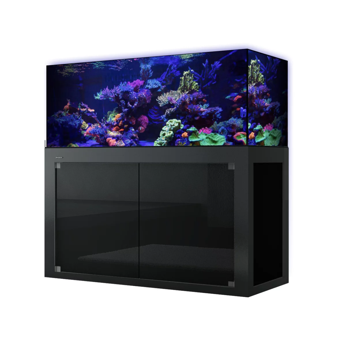 Giesemann LINEA 120 cm / 400 Liter Meerwasser Aquarium Giesemann LINEA 120 cm / 400 Liter Meerwasser Aquarium