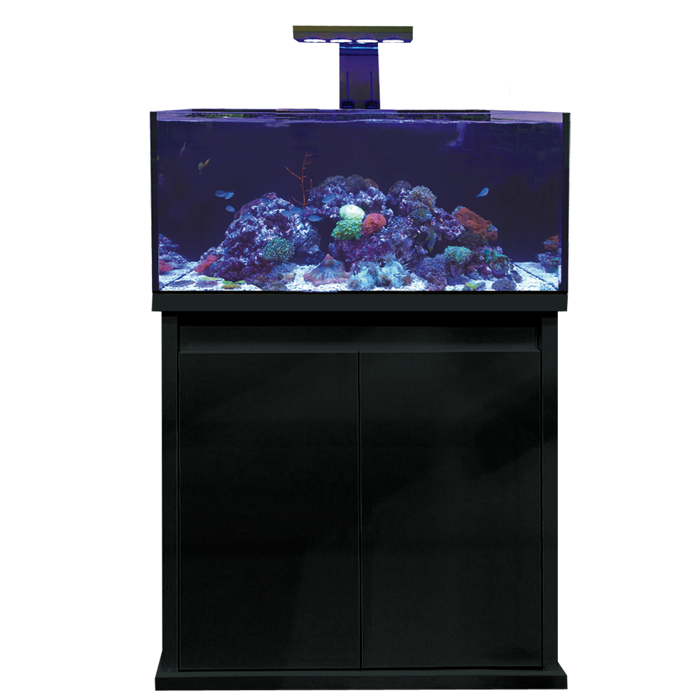 D-D Reef-Pro 900 Black - Aquariumsystem 