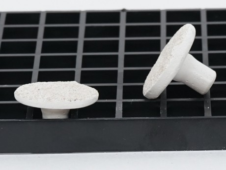 Ablegerplug für Rasterplatte -10 Stück/Rund 3 cm Ablegerplug für Rasterplatte -10 Stück/Rund 3 cm