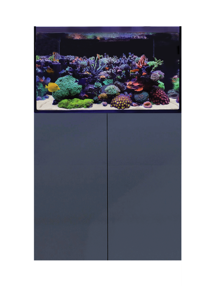 D-D Aqua-Pro Reef Wood 900 Anthracite Gloss D-D Aqua-Pro Reef Wood 900 Anthracite Gloss