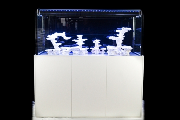 AP-ReefTank 540 Ltr.