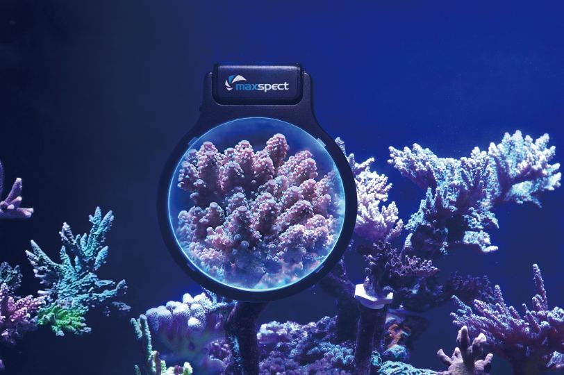 Maxspect Pastel Reef Magnifier L Maxspect Pastel Reef Magnifier L