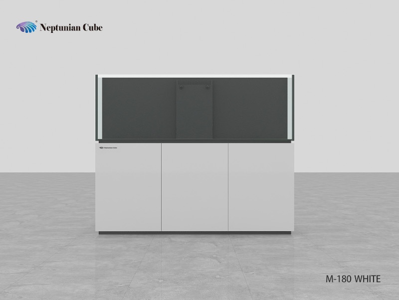 Neptunian Cube Aquarium Serie M180 Weiß Palettenversand 