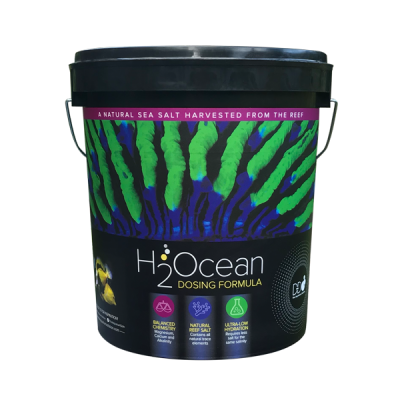 H2Ocean Dosing Formular Salz 23kg 