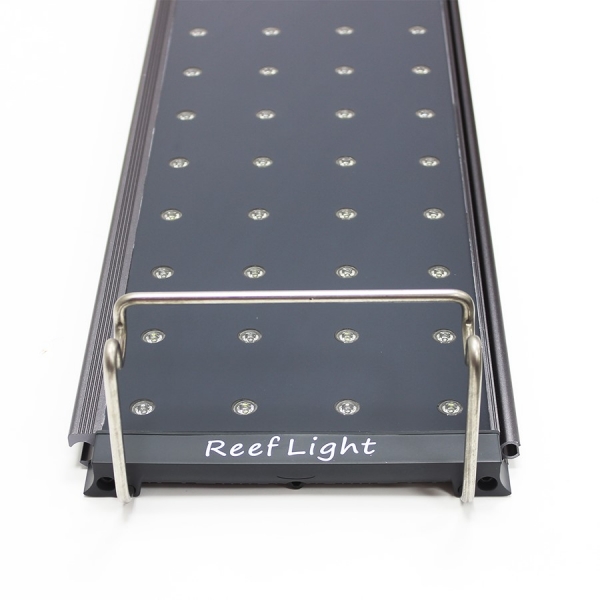Mreeflight_1