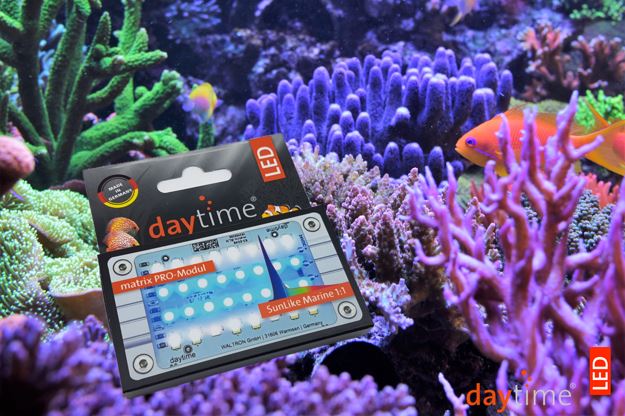 Daytime pendix® Marine Komplett-Sets pendix100.7 Marine 