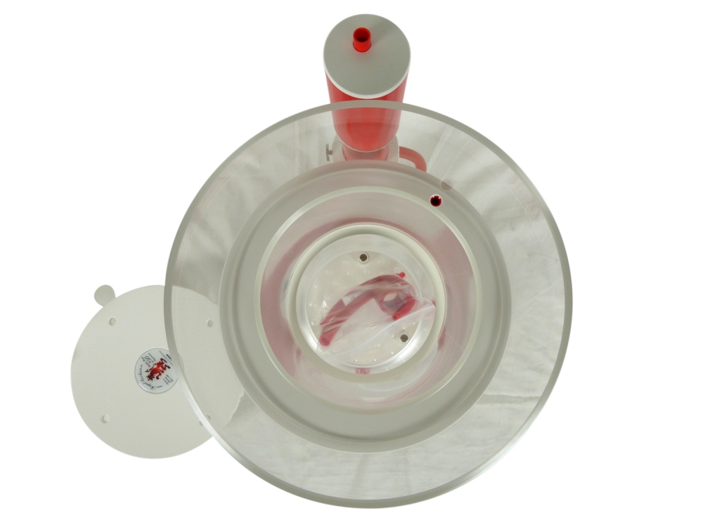 Royal Exclusiv Bubble King® Supermarin 250 + RDX DC 24V(91/RDX)