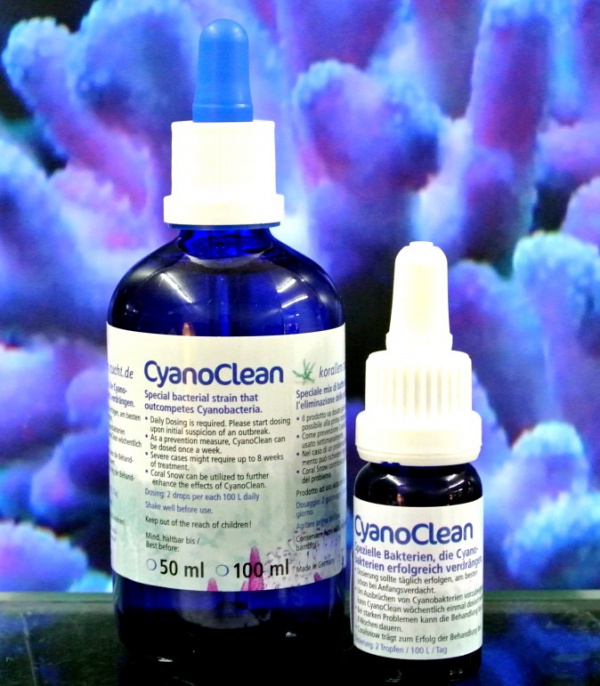 Korallen-Zucht CyanoClean 100ml