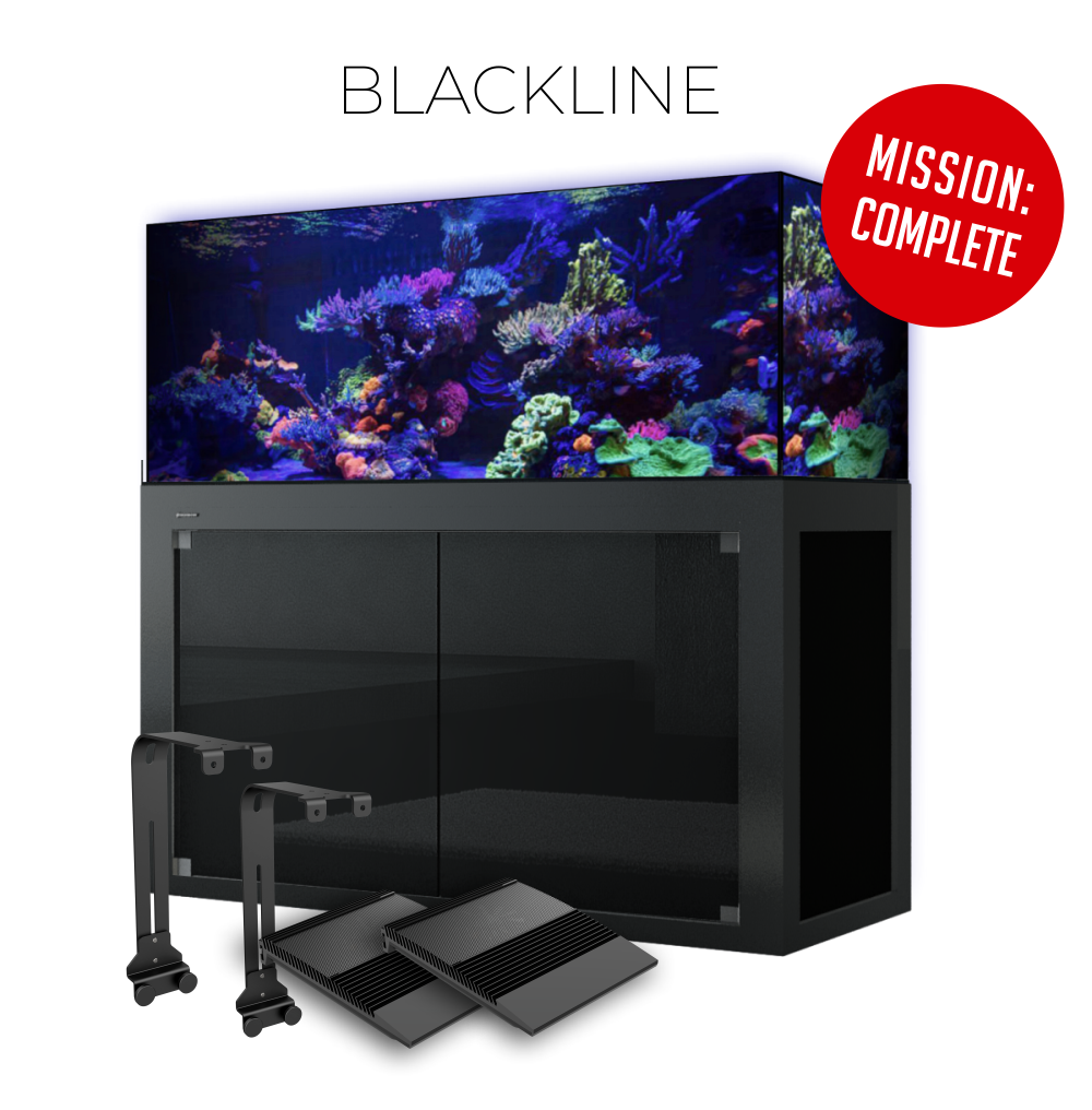 Giesemann LINEA  Complete 180cm / 600 Liter Meerwasser Aquarium