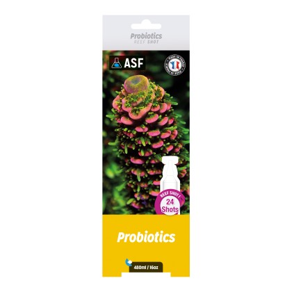 Probiotics - 24 x 20ml Probiotics - 24 x 20ml