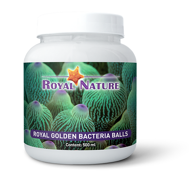 ROYAL NATURE  ROYAL Golden Bacteria Balls 500ml
