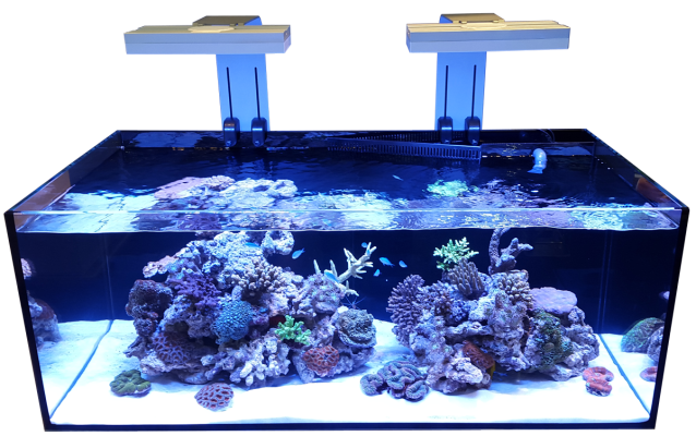 D-D Aqua-Pro Reef 1200- METAL FRAME- DRIFTWOOD CONCRETE