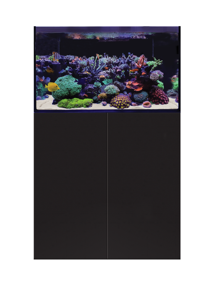 D-D Aqua-Pro Reef 900- BLACK SATIN 