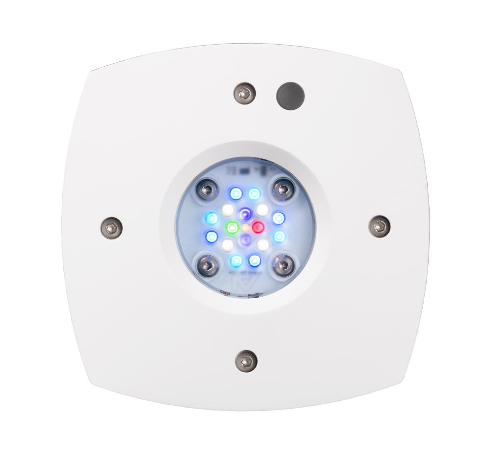 AI Prime 16HD Reef white