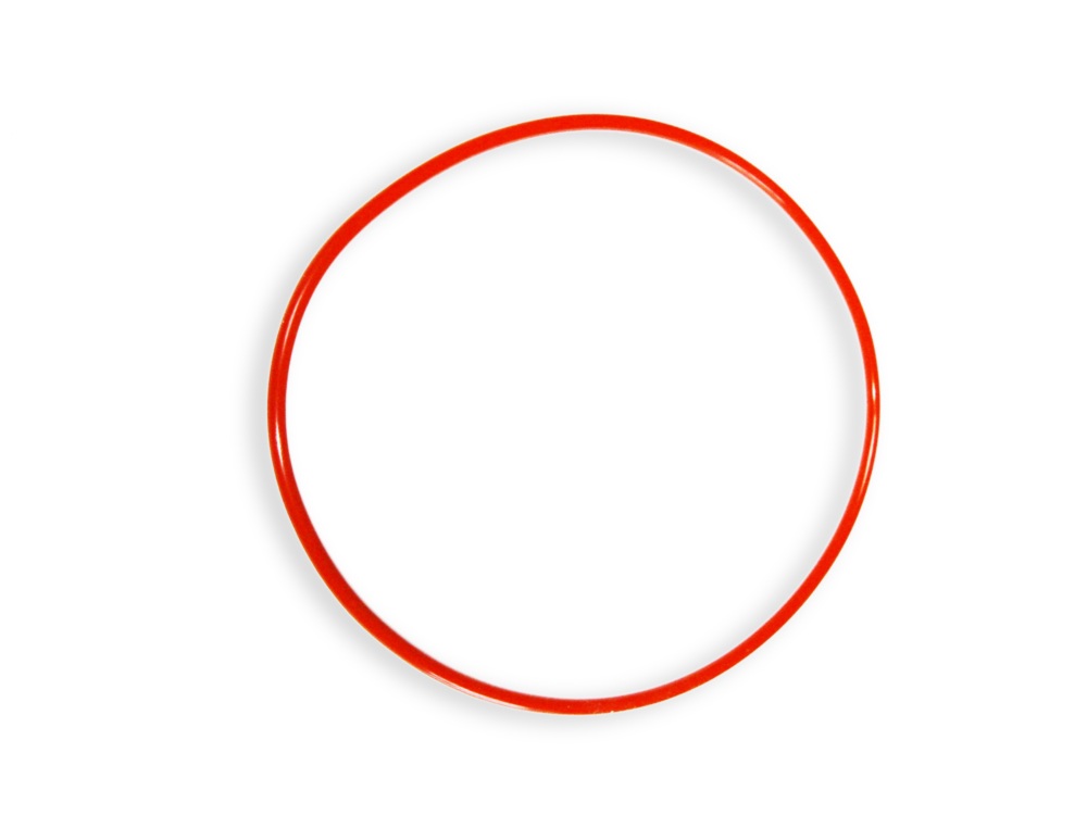 Royal Exclusiv Dichtungsring 148 x 2,5mm für Mini Bubble King 160 Konus (330)