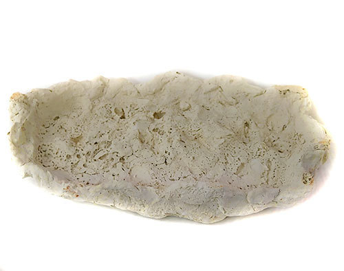 NatureLine Riffkeramik Muschelschale ca. 18 cm