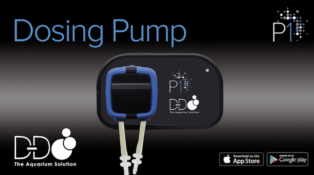 D-D Dosierpumpe P1 D-D Dosierpumpe P1