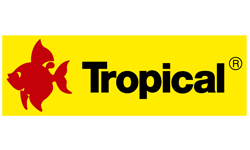 Tropical Deutschland