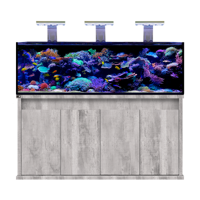 D-D Reef-Pro 1800 Driftwood Concrete- Aquariumsystem