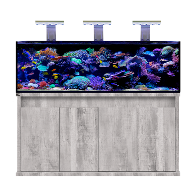 D-D Reef-Pro 1800 Driftwood Concrete- Aquariumsystem D-D Reef-Pro 1800 Driftwood Concrete- Aquariumsystem