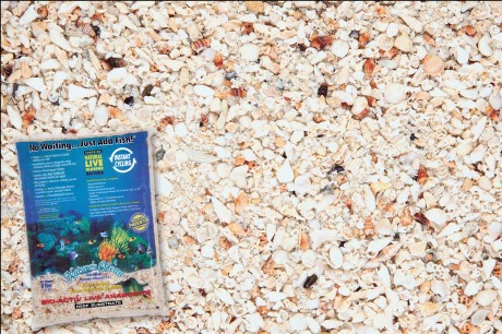 AMA Natures Ocean Reef Substrate Aragonite Live Sand 2,0 - 4,0 mm 3,63 kg (20721) AMA Natures Ocean Reef Substrate Aragonite Live Sand 2,0 - 4,0 mm 3,63 kg (20721)