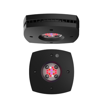 AI Prime FUGE black