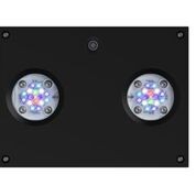 HYDRA32HD_black AI Hydra HD 32 LED schwarz