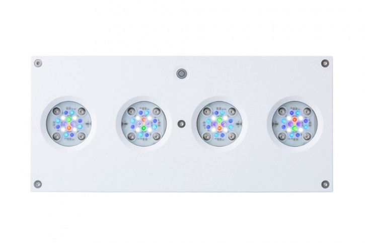 AI Hydra HD 64 LED weiß