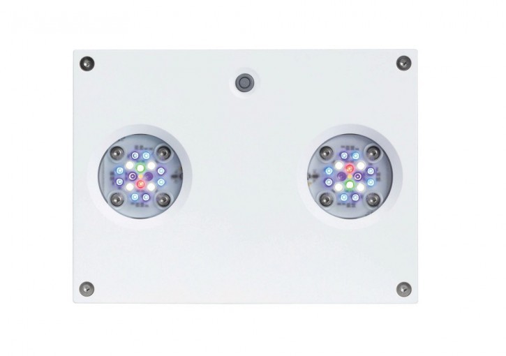 ai_hd32 AI Hydra HD 32 LED weiß