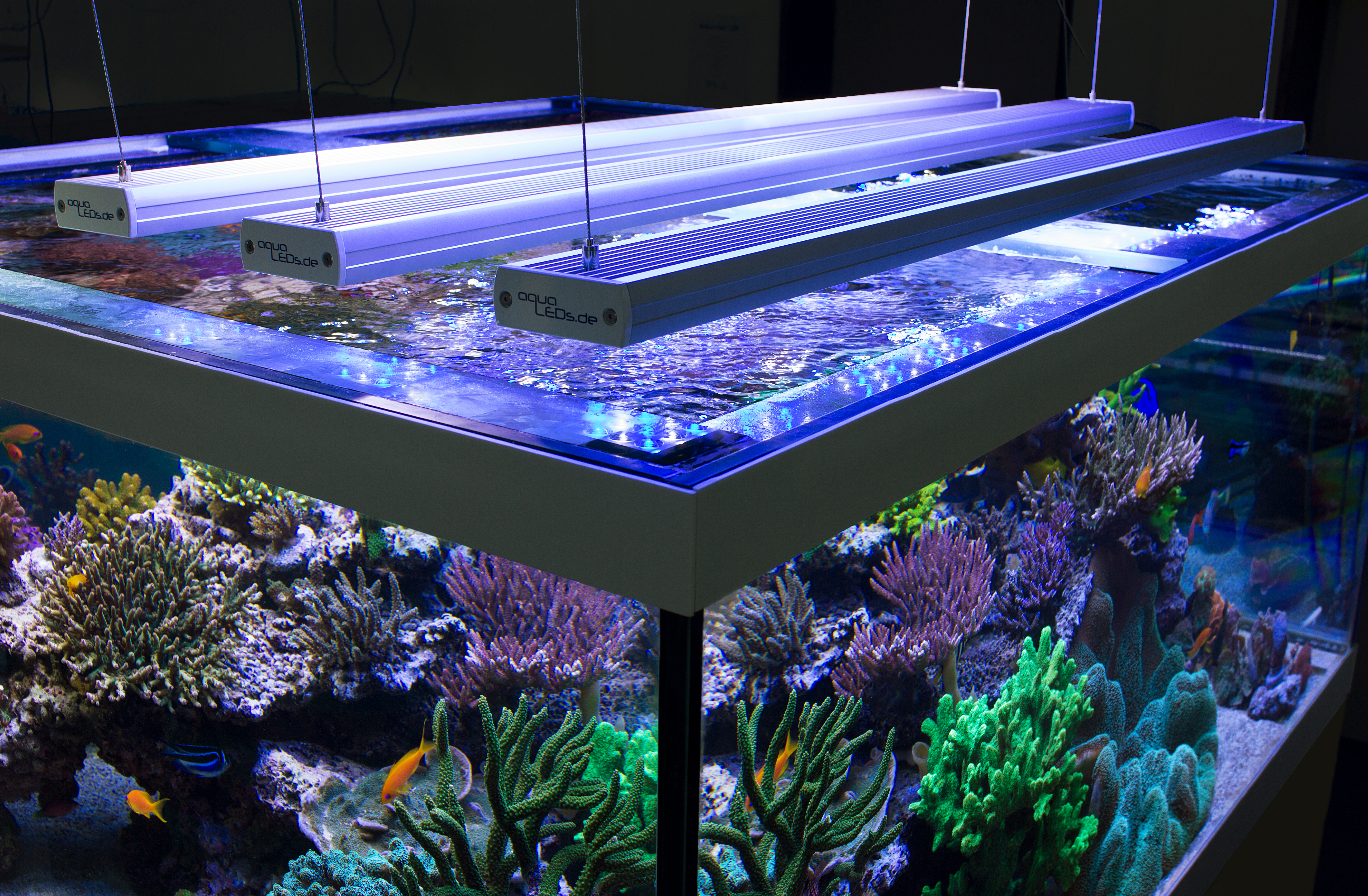 AquaLEDs aquaBAR150 HC+ Reef Blue High Color