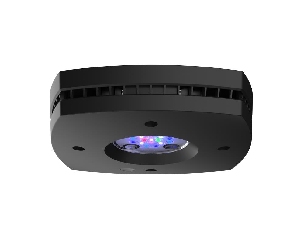 AI Prime 16HD Reef black
