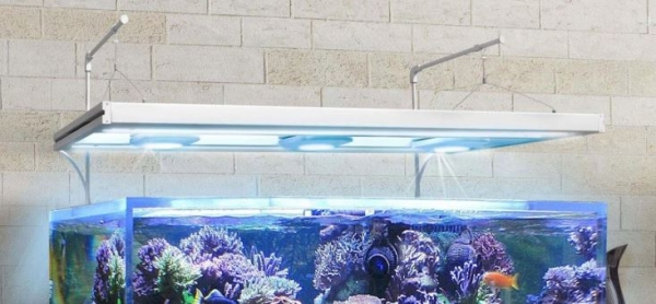 GHL /Aquatic Life Hybridleuchten-Halterung, Weiß (Stück)