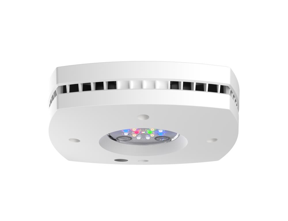 AI Prime 16HD Freshwater weiß AI Prime 16HD Freshwater weiß